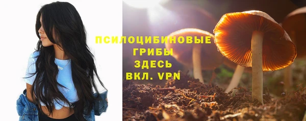 apvp Лихославль